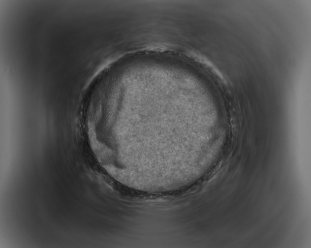 X0000086761256200705111708