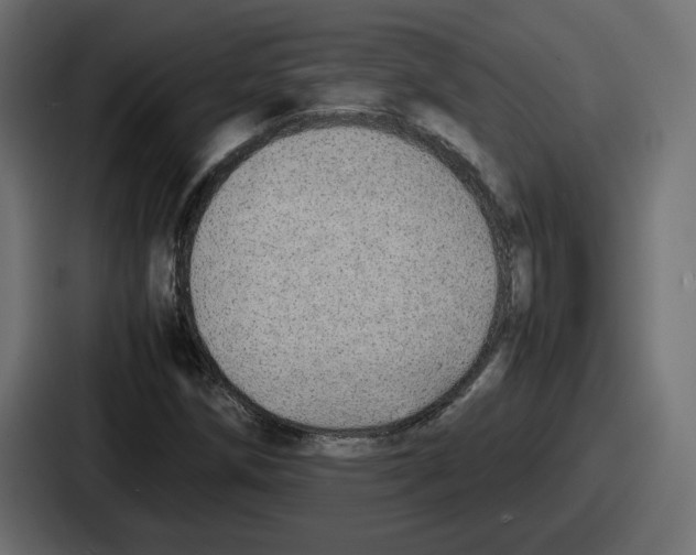 X0000086761258200705111708