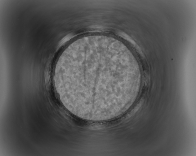 X0000086761259200705111708