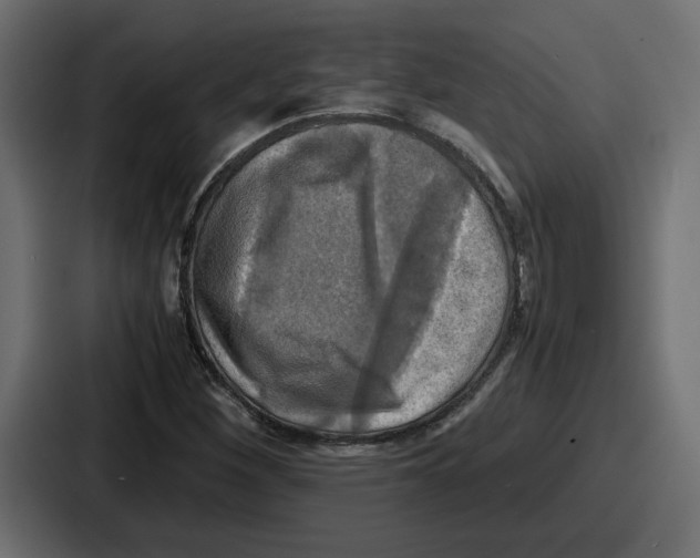 X0000086761260200705111708