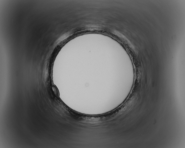 X0000086761261200705111708