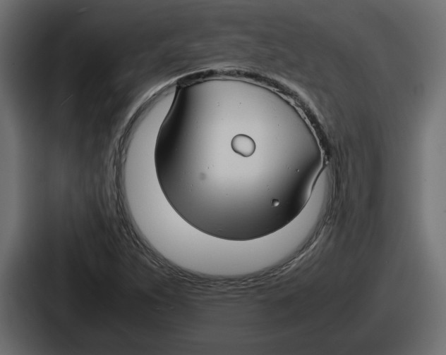 X0000086761263200705111708