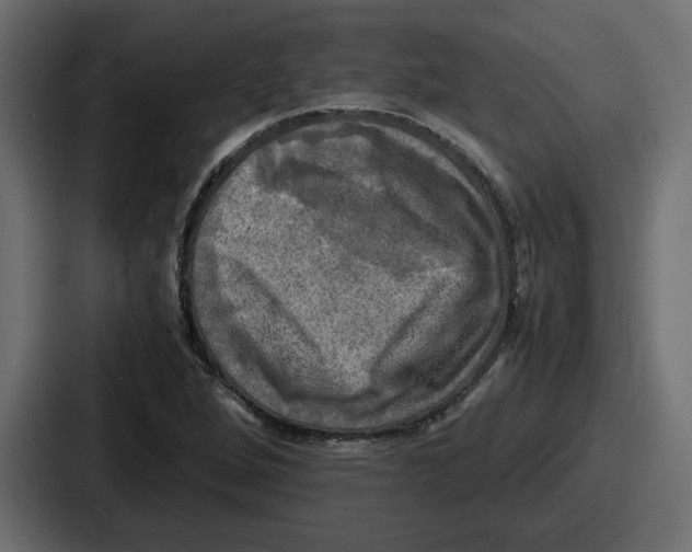 X0000086761264200705111708