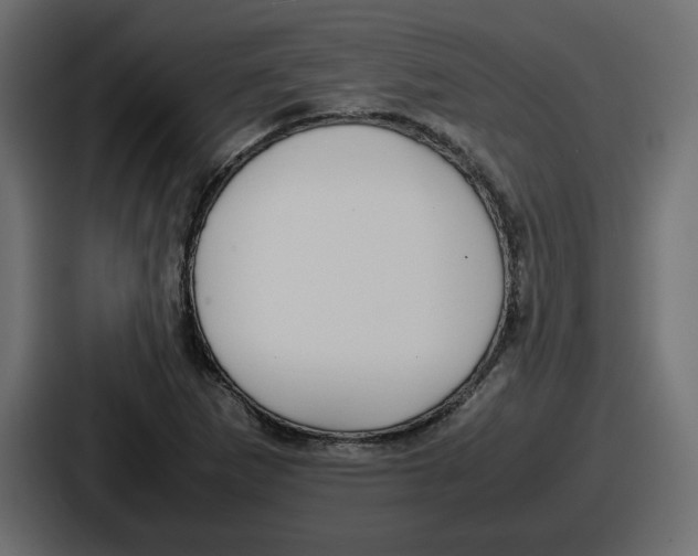 X0000086761265200705111708