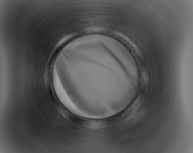 X0000086761266200705111708