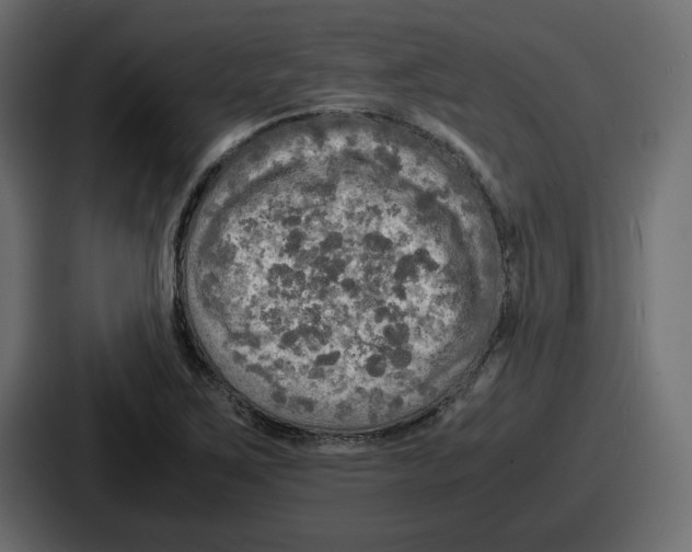 X0000086761267200705111708