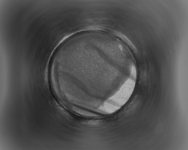 X0000086761268200705111708