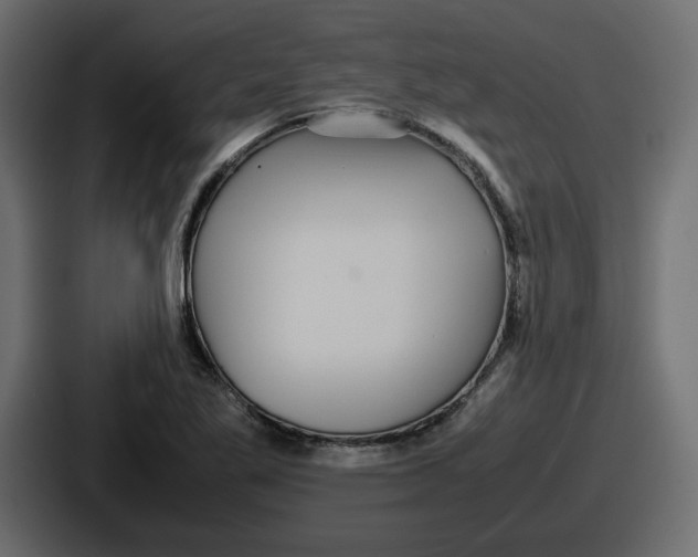 X0000086761269200705111708