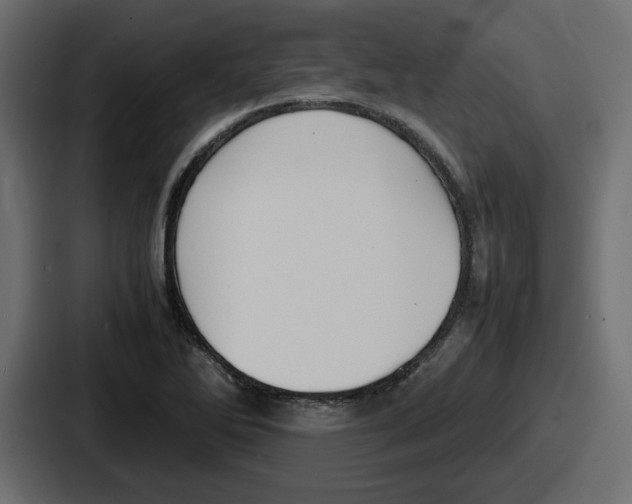 X0000086761270200705111708