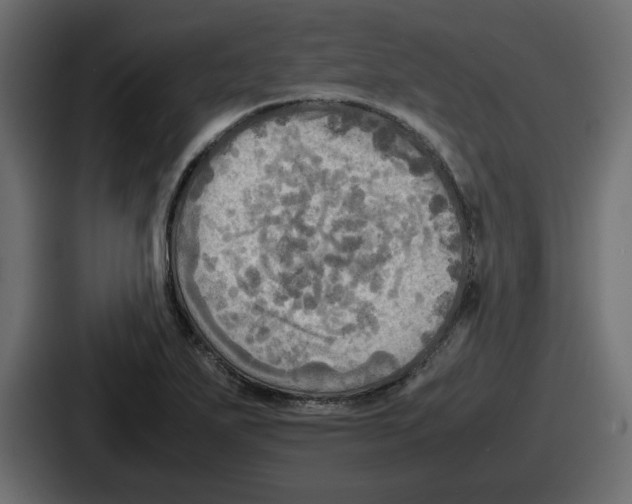 X0000086761271200705111708