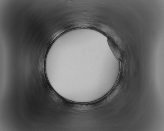 X0000086761273200705111708