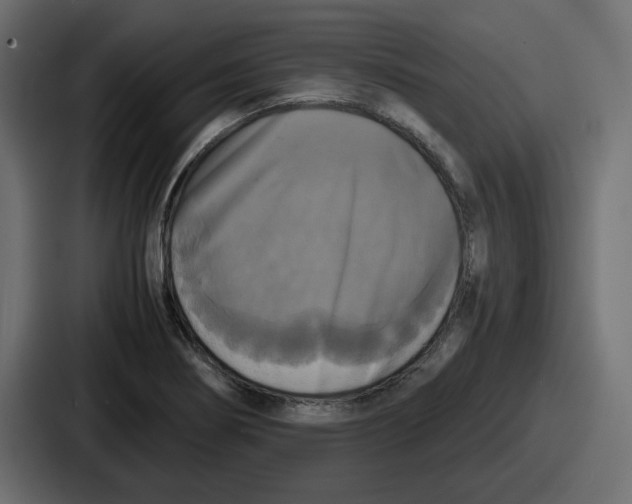 X0000086761274200705111708