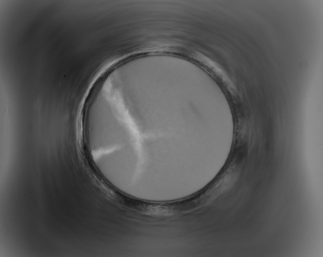 X0000086761275200705111708