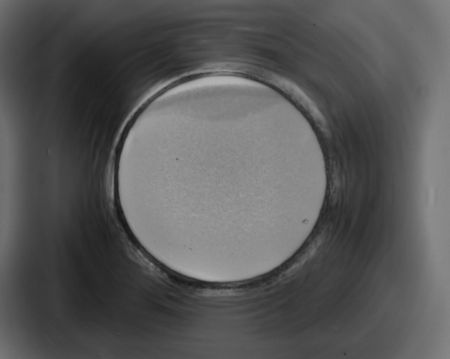 X0000086761276200705111708