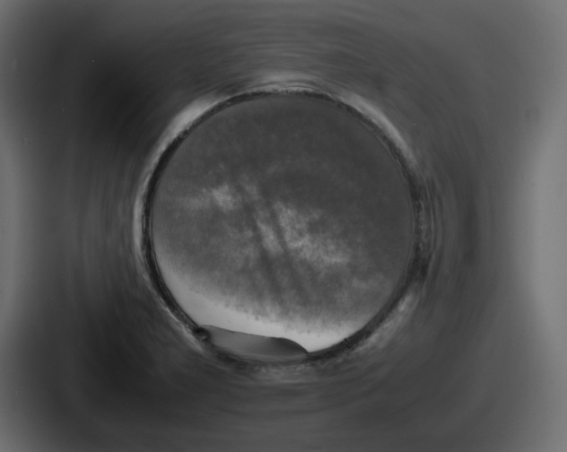 X0000086761277200705111708