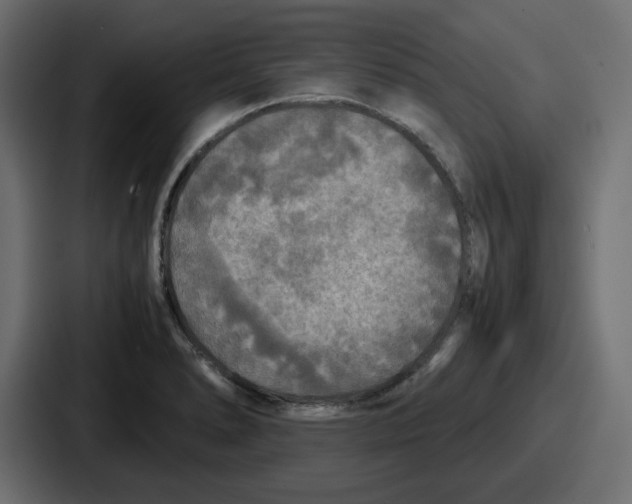 X0000086761278200705111708