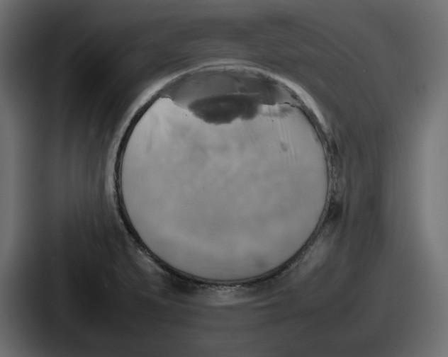 X0000086761279200705111708