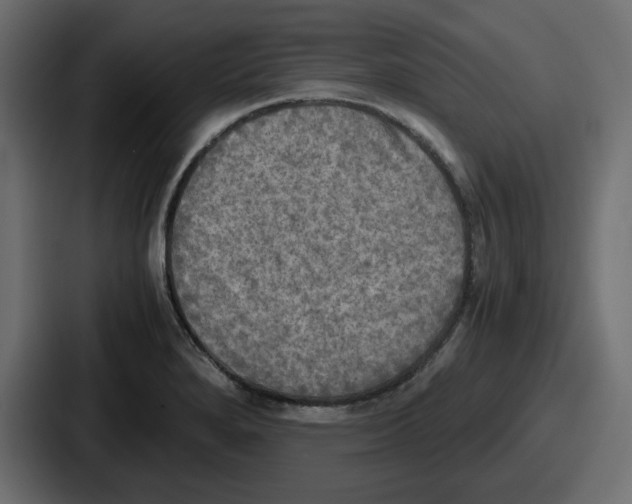 X0000086761280200705111708