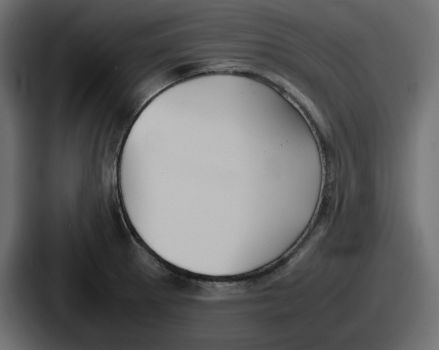 X0000086761281200705111708