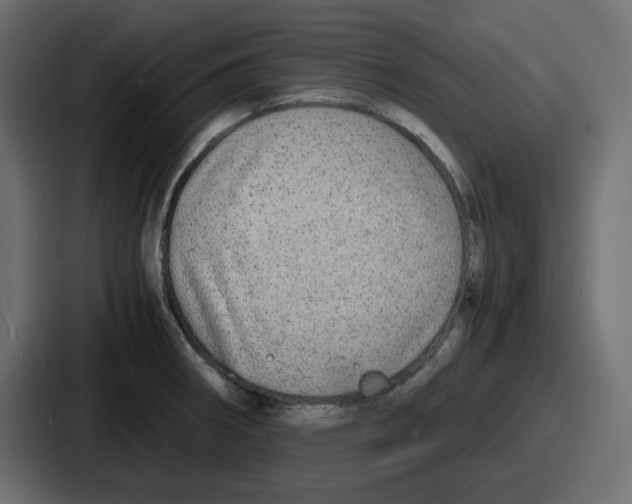 X0000086761282200705111708