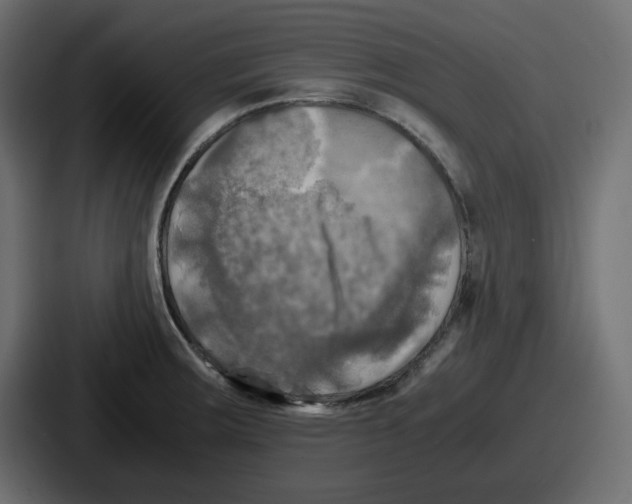 X0000086761283200705111708