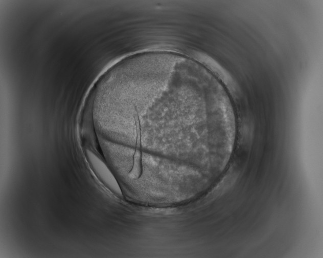 X0000086761284200705111708