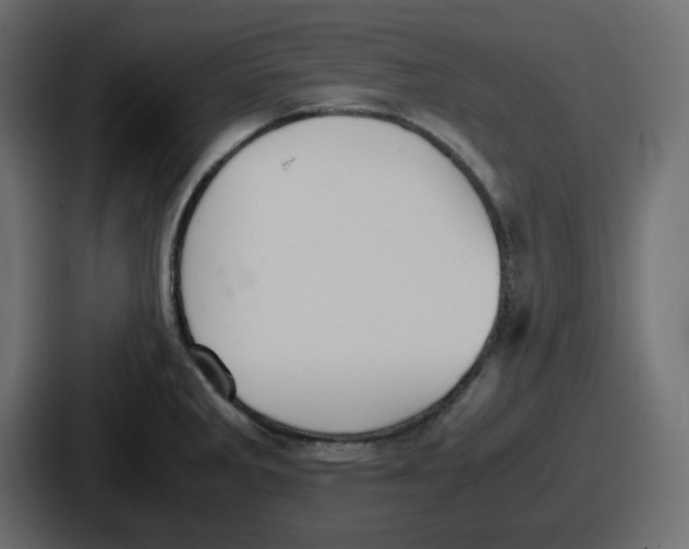 X0000086761285200705111707