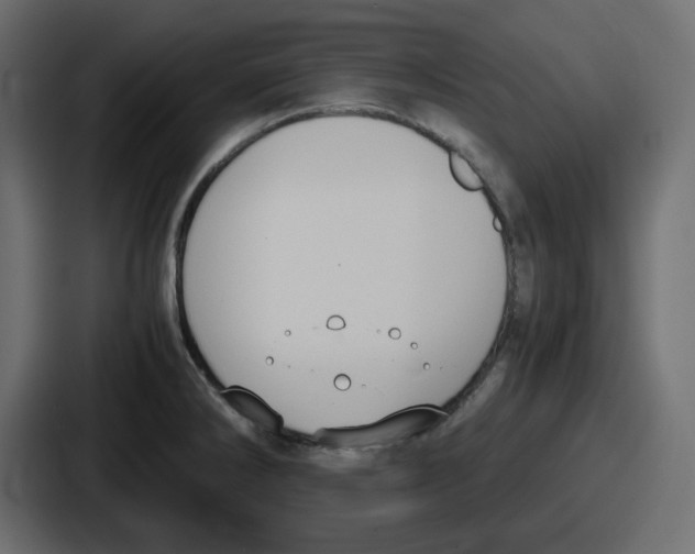 X0000086761286200705111707