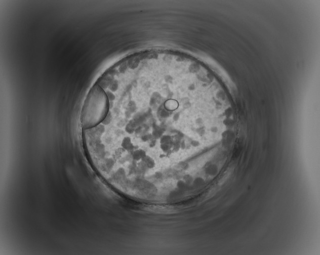 X0000086761287200705111707