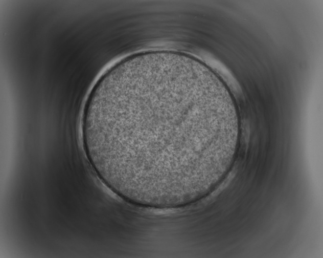 X0000086761288200705111707