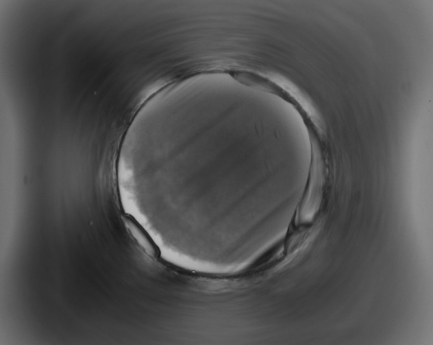 X0000086761289200705111707