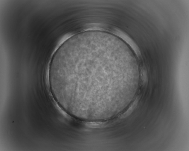 X0000086761290200705111707