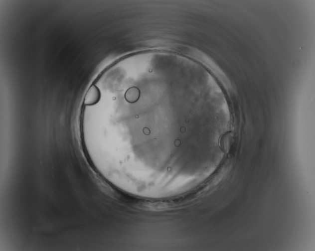 X0000086761291200705111707