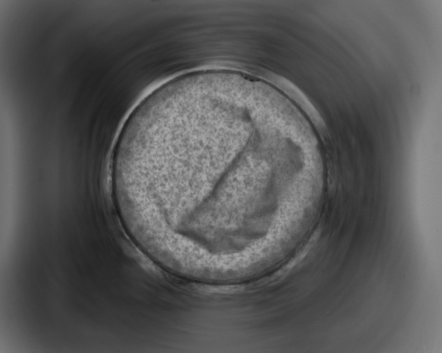 X0000086761292200705111707