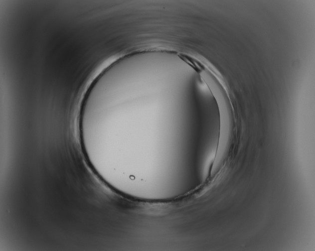 X0000086761293200705111707