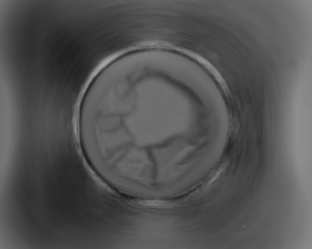 X0000086761295200705111707