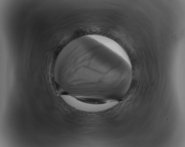 X0000086761297200705111707