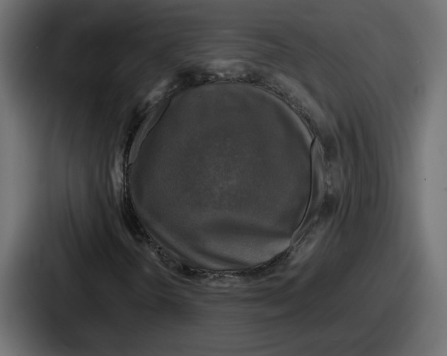 X0000086761298200705111707