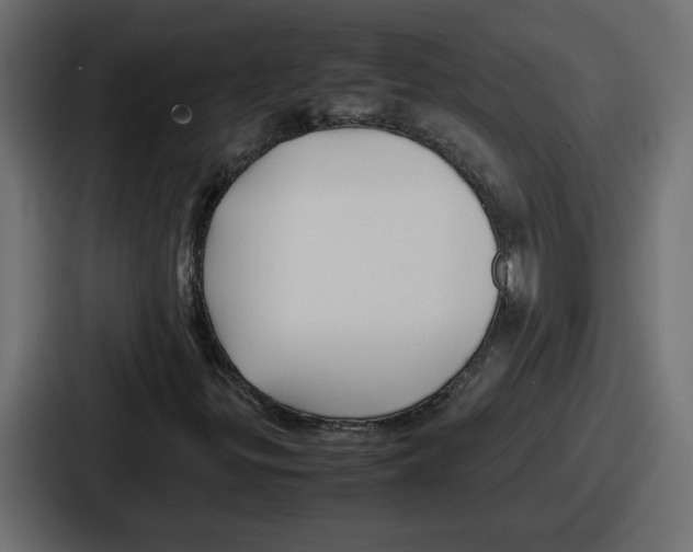 X0000086761299200705111707