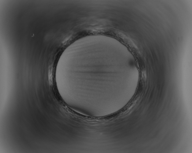 X0000086761300200705111707