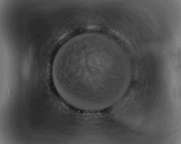 X0000086761301200705111707