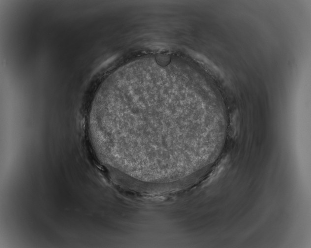 X0000086761302200705111707