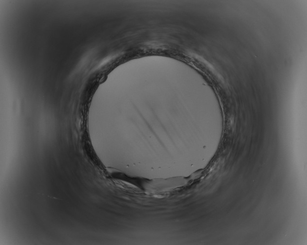 X0000086761303200705111707