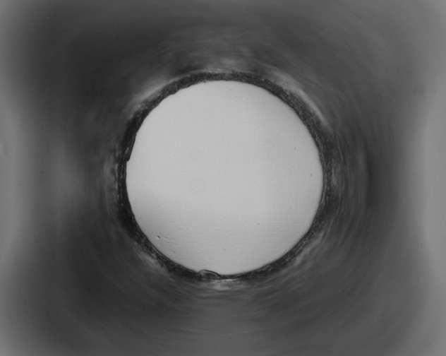 X0000086761304200705111707