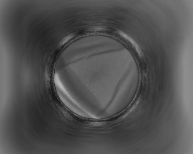 X0000086761305200705111707