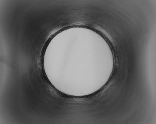 X0000086761308200705111707