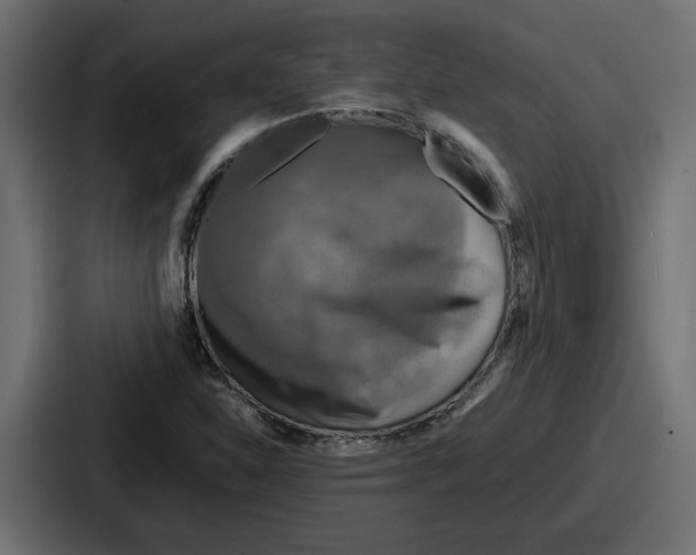 X0000086761310200705111707