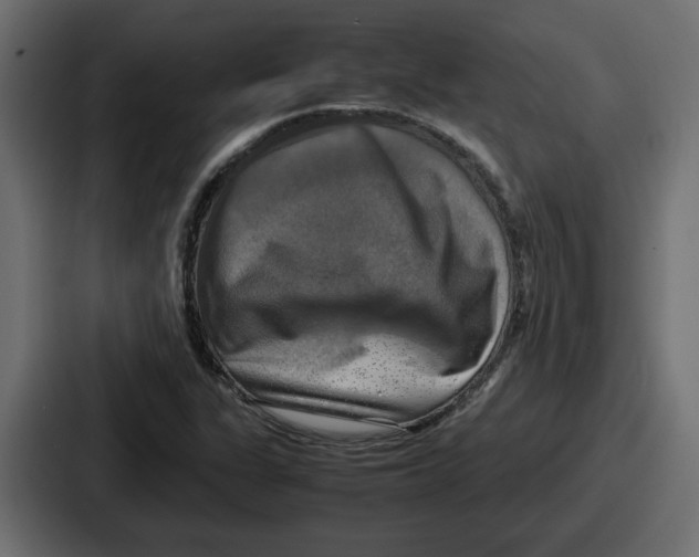 X0000086761311200705111707