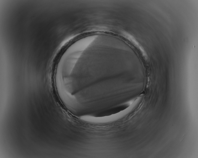 X0000086761312200705111707