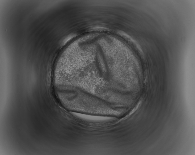 X0000086761313200705111707